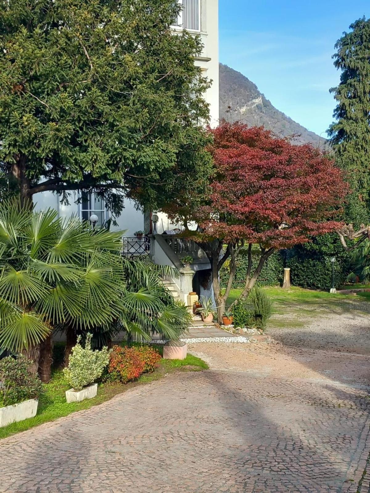 Villa Sapi Arcisate Εξωτερικό φωτογραφία
